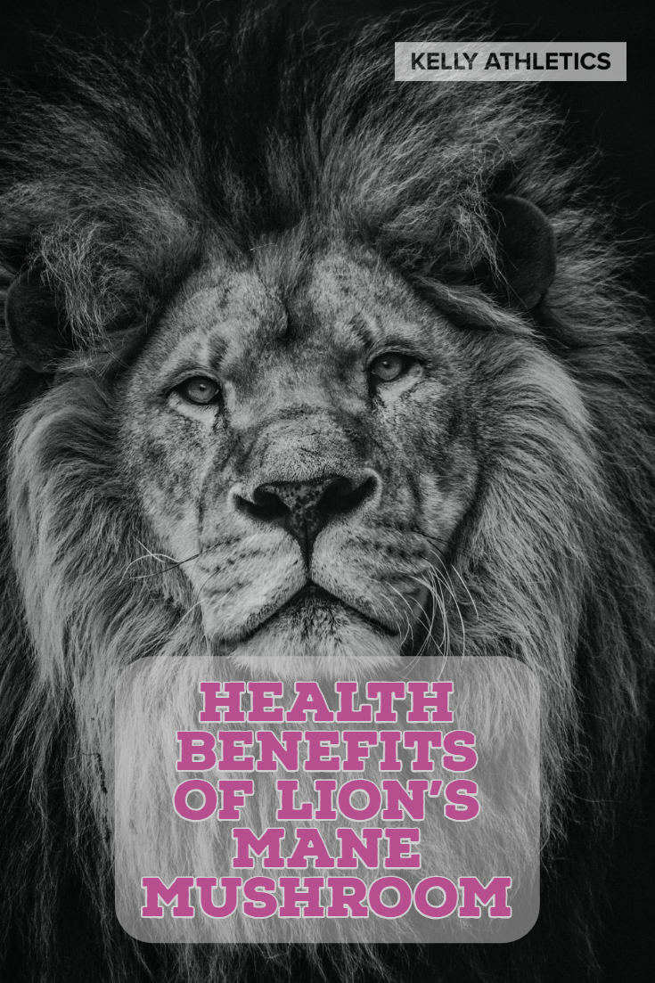 health-benefits-lions-mane-mushroom-medicinal-holistic-medicine